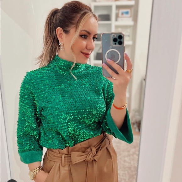 Zara | Tops | Zara Blogger Favorite Green Velvet Sequin Top | Poshmark